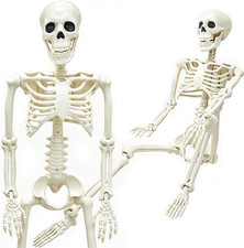 36" Skeleton Halloween Decorations, 3FT Life Size Skeleton Posable Joints