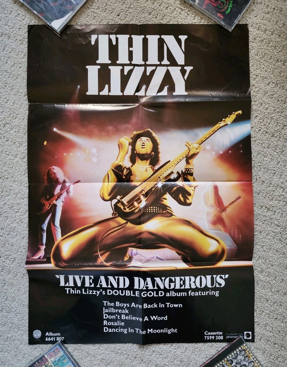 Thin Lizzy Live & Dangerous 1978 UK promo poster promotional Rare