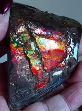 Ammolite  Ammonite tabletop Display Piece 79x62x25mm 18790
