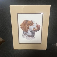 Brittany Spaniel Original Art Print 8x10 Matted. Sealed