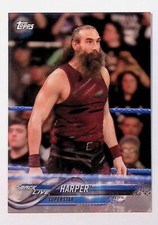 Luke Harper 2018 Topps WWE Then Now Forever #134 Wrestling Card