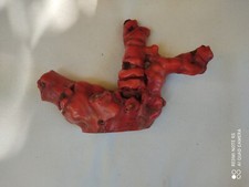 corallo bamboo antico 