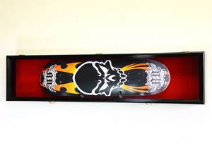 skateboard deck display case