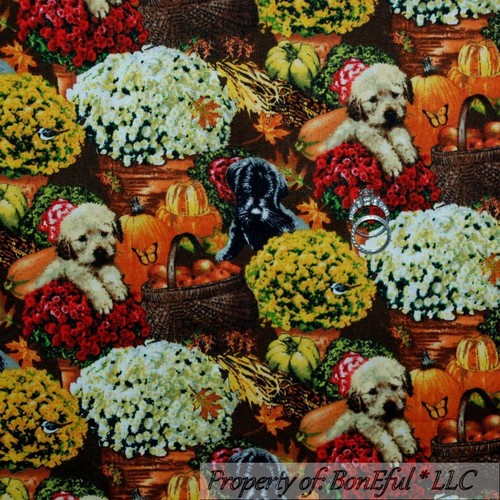 BonEful Fabric FQ Cotton Quilt Red B&W Flower Orange Leaf Dog Puppy Pumpkin Bird - Picture 13 of 13