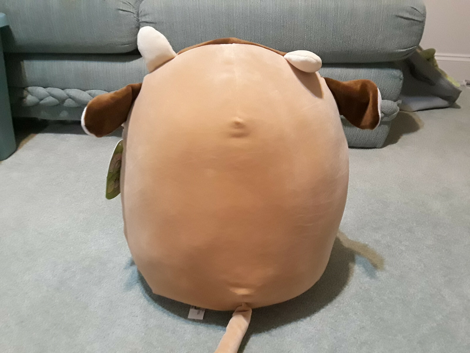 sage brown cow squishmallow