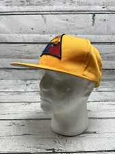 VTG Flammable Explosive Patch Logo Hazmat Foremost By New Era Snapback Hat Cap