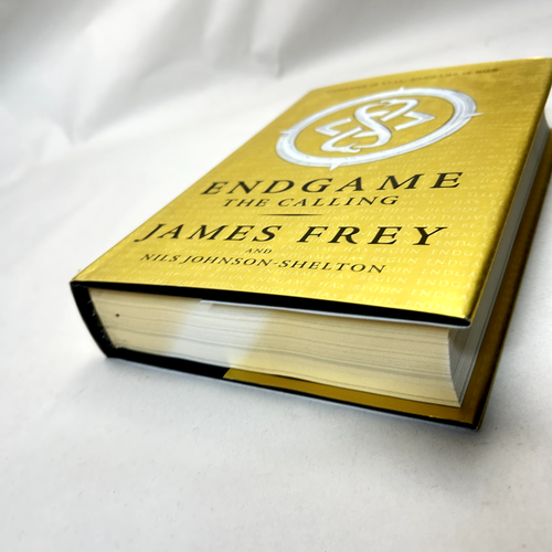 Endgame by James Frey & Nils Johnson-Shelton YA Sci-Fi Dystopian Adventure - Bild 6 von 18