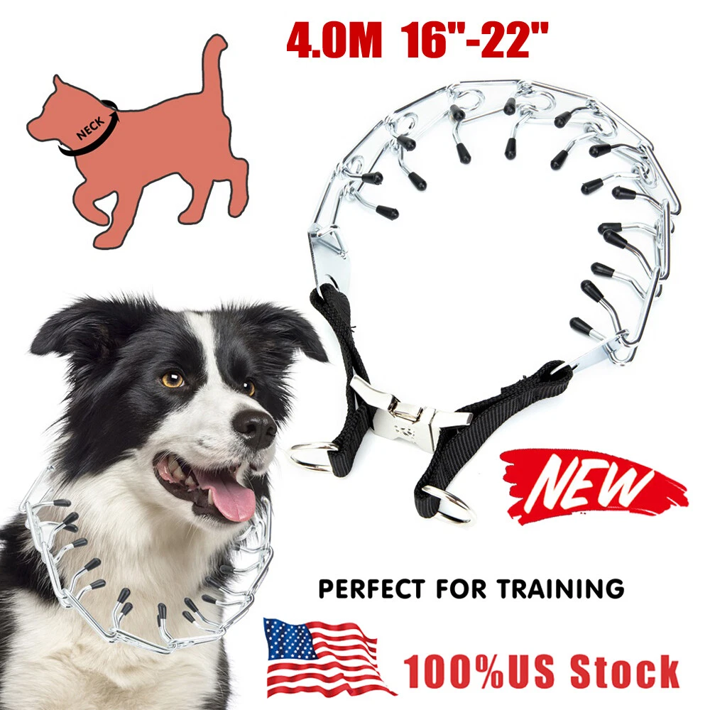4.0m 16-22 Dog Training Choke Chain Collar Pet Metal Steel Dog Prong  Pinch TBN | eBay