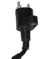 Honda Sk M Dio Zx 50 ZüNdspule N
