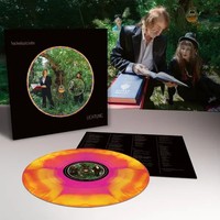 Lichtung | Hackedepicciotto | Schallplatte | Vinyl / Schallplatte | 2026 | Mute