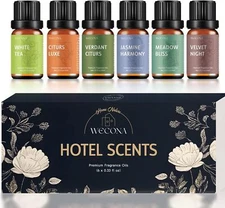 Premium Hotel Fragrance Oil Collection for Diffusers, Essential Oils for Diffuse