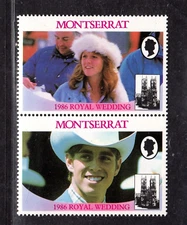 EFO Montserrat SN 616a-b missing value 1986 (Planned Error-See Description)