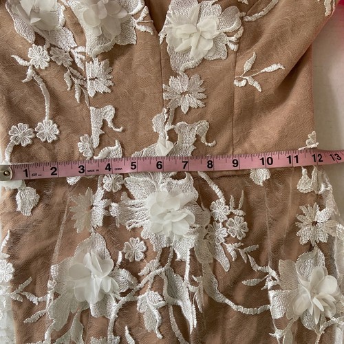 Dress The Population Sidney Dress Floral Appliqué Sheer Lace Nude/White SZ S NWT - Picture 15 of 19
