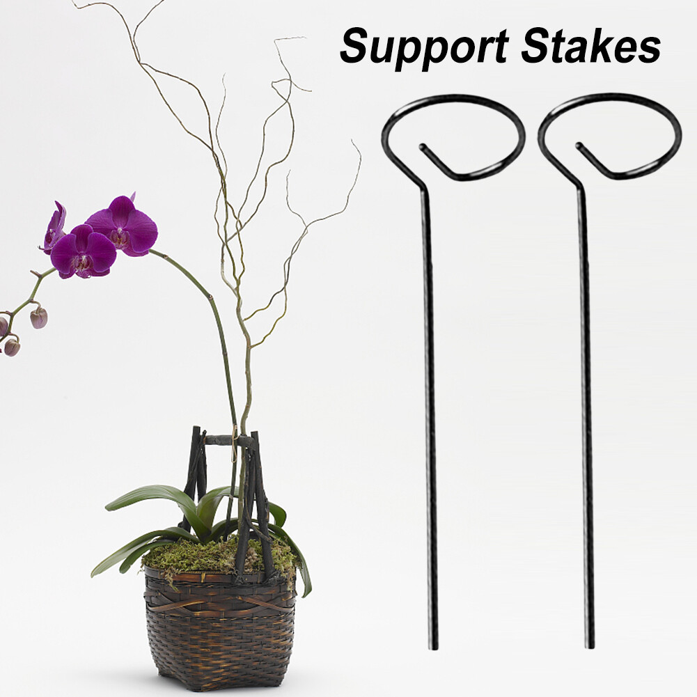 10pcs Plant Supports Stake Flower Pot Stand for Peonies Hydrangea (40CM