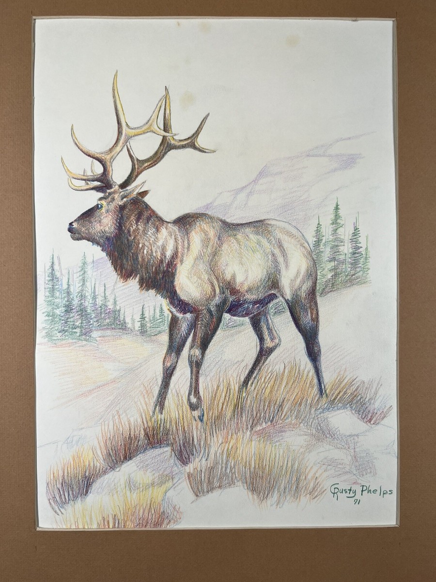 Rusty Phelps Vintage Elk Bull Colored Pencil on Paper Drawing