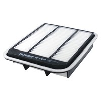 Filtron AP 172/4 Luftfilter FüR Mitsubishi Grandis Na_W