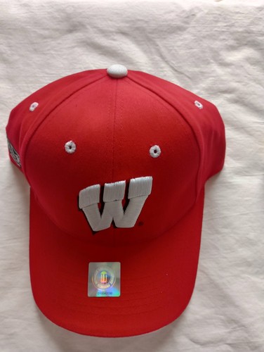 New Wisconsin Badgers Hat Never Worn. One Size Fits All