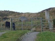 Photo 6x4 Deer gate at Balole, Islay Redhouses  c2010