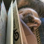 Scrappy Stampurr Stuff