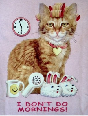 I Don t Do Mornings Kitty hair rollers NEW T-shirt Vintage Graphic-MADE to ORDER