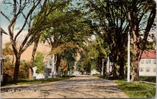 Newport Maine~Elm Street Homes~Trees Cast Shadows on Rutted Dirt Road~c1910 