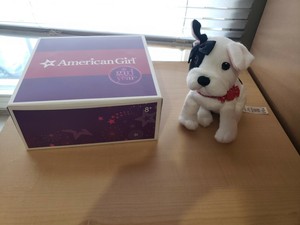 american girl bulldog