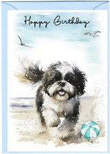 Biglietto Compleanno Cane Shih Tzu, vuoto all'interno. Disponibile in due misure A6 e A5