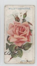 1912 Wills Roses Tobacco Mrs EJ Holland #22 1i3