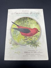 North American Birds Chase & Sanborn Advertising Booklet c1905