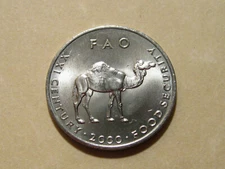2000 Somalia CAMEL 10 S coin  Animal   nice nickel clad coins of Africa  FAO