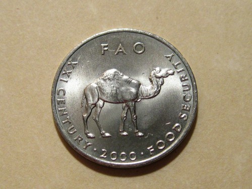 2000 Somalia CAMEL 10 S coin Animal nice nickel clad coins of Africa FAO
