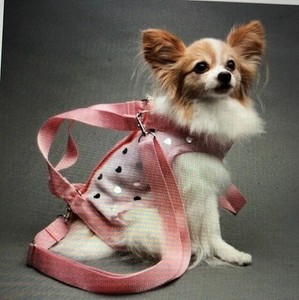 pet carrier harness