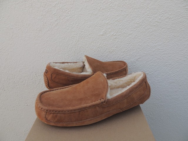 ugg ascot sale