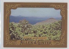 2016 Topps Allen & Ginter Natural Wonders Amazon Rainforest #NW-5 0b3
