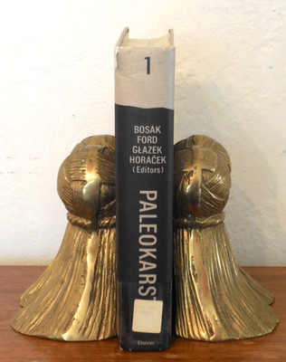 Paleokarst:  A Systematic and Regional Review by Bosak et al.  1989 HB Geology
