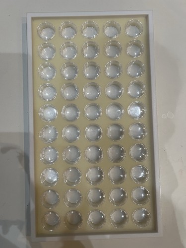BOGO 50-Slot Container Gem Jar Foam Tray – Gemstones, Jewelry, Coins