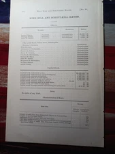 1877 Pennsylvania Train Report MINE HILL & SCHUYLKILL HAVEN RAILROAD Locust Gap 