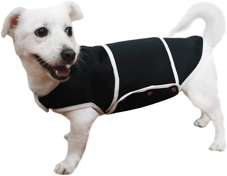 How To Put A Jacket On A Dog