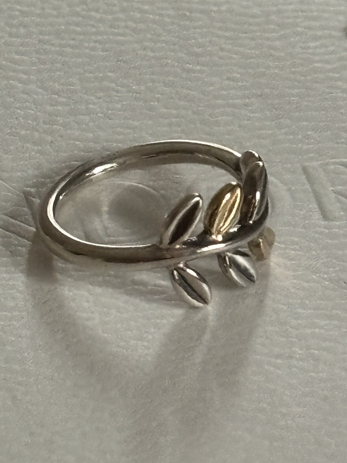 Picture 5 of 6