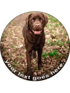 chocolate lab cake topper