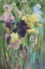 Original Modern Oil Painting on Canvas Group of irises in the garden 23x15"