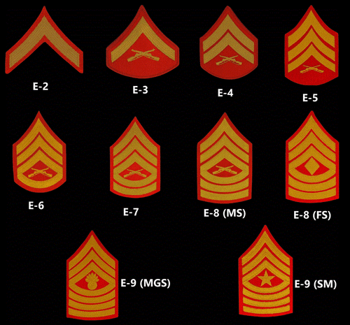 US Marine Corps Chevron E-2 TO E-9 REGULATION GOLD EMBROIDERED ON RED PATCH MALE - Picture 1 of 33