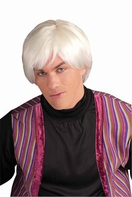 ADULT MALE ARTIST PLATINUM WHITE WIG MR POP MOVIE STAR ANDY WARHOL COSTUME WIG 