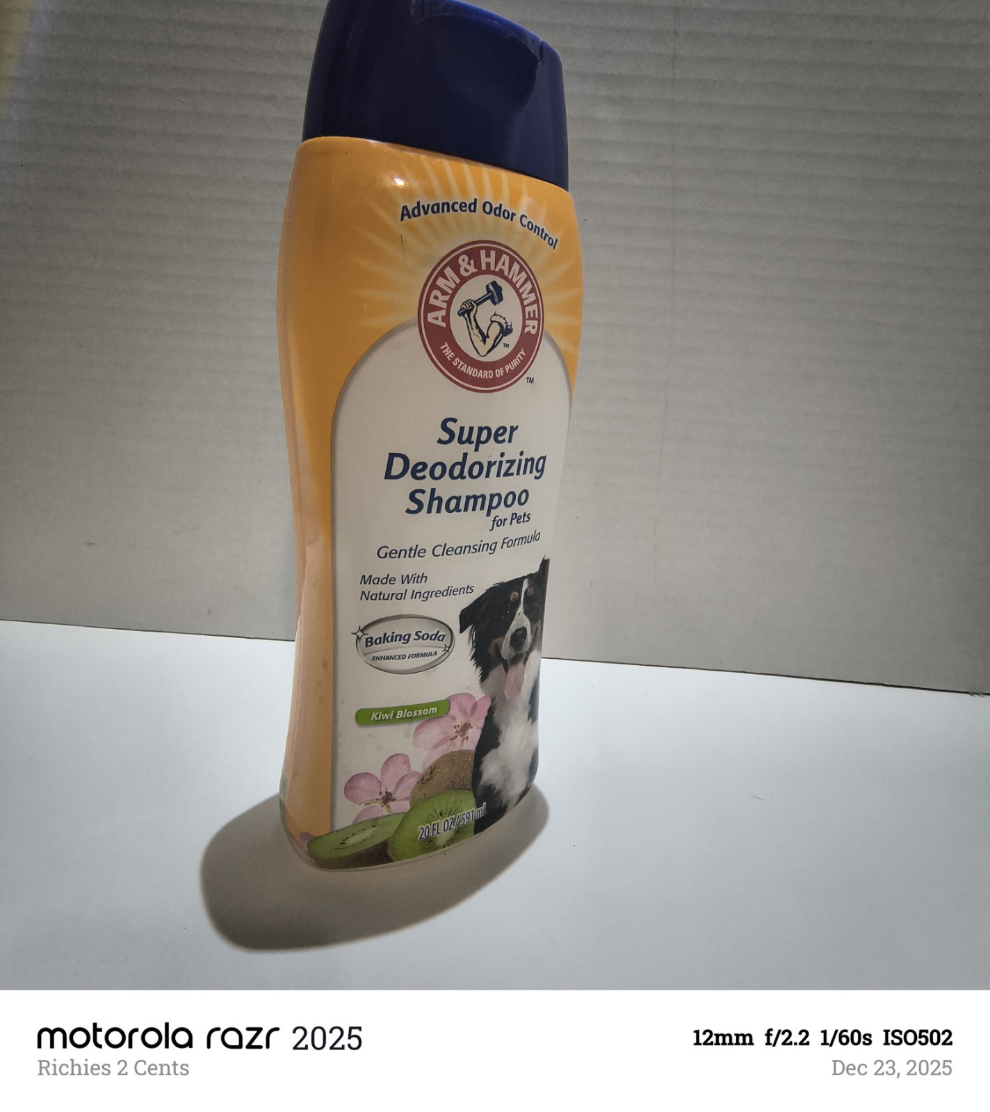 For Dogs
