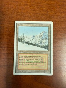 Magic The Gathering Taiga | eBay