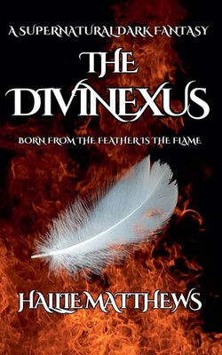 The Divinexus Hallie Matthews Taschenbuch Englisch 2024 H S Matthews