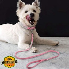 Pimaodog Pink XS Suede Rhinestone Collar Leash Combo Dog Puppy