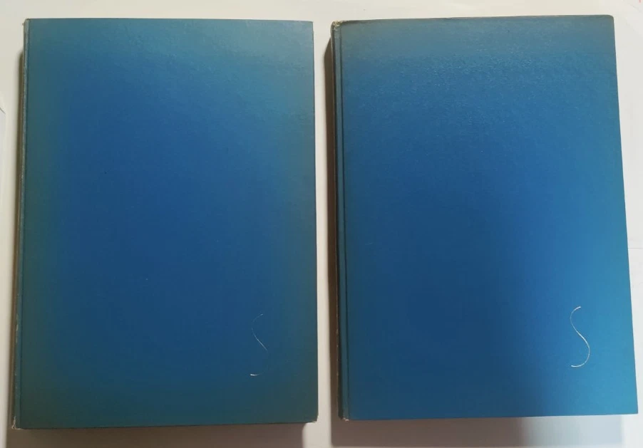 Italian Painting - Two Volumes - Albert Skira, Geneva, Switzerland, 1950-51 Foto 2 de 4