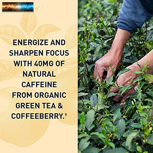 Apple Cider Vinegar Energy Gummies by Garden of Life mykind Organics - USDA Orga - Picture 4 of 9