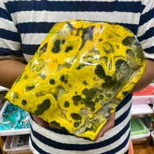 7.07LB Natural Bumblebee Jasper Quartz Crystal Disply Freeform Reiki Stone Heali